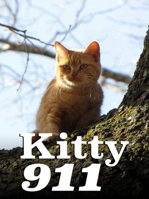 Kitty 911 poster