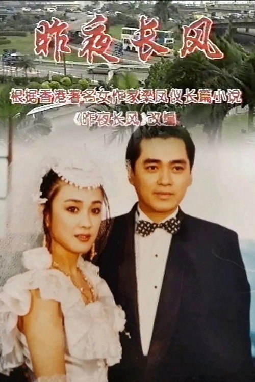 昨夜长风 poster