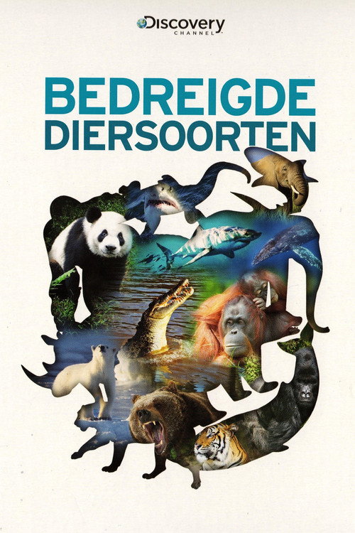 Bedreigde Diersoorten poster