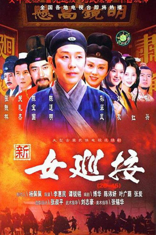女巡按 poster