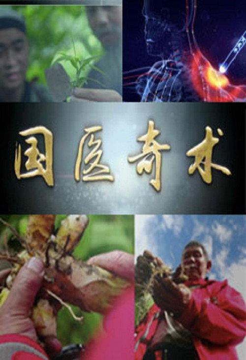 国医奇术 poster