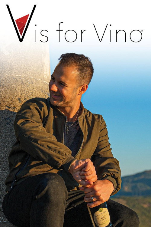 V is for Vino poster