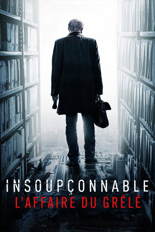 Insoupçonnable, l'affaire du Grêlé poster