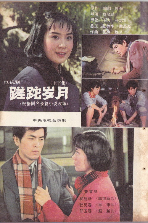 蹉跎岁月 poster
