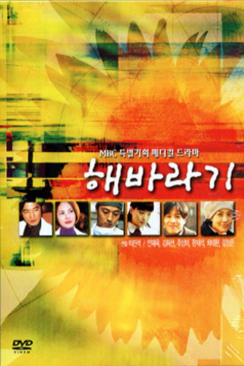 Sunflower poster