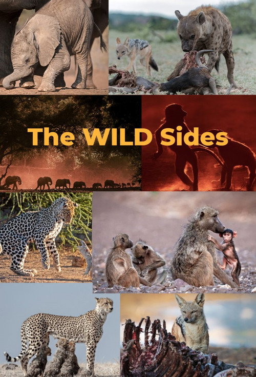 The Wild Sides poster