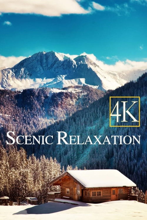 4K - Scenic Relaxation Film poster