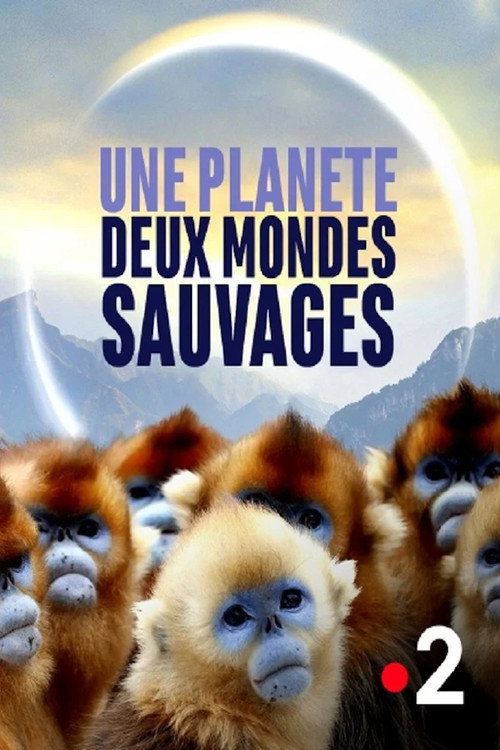 Une planète, deux mondes sauvages poster