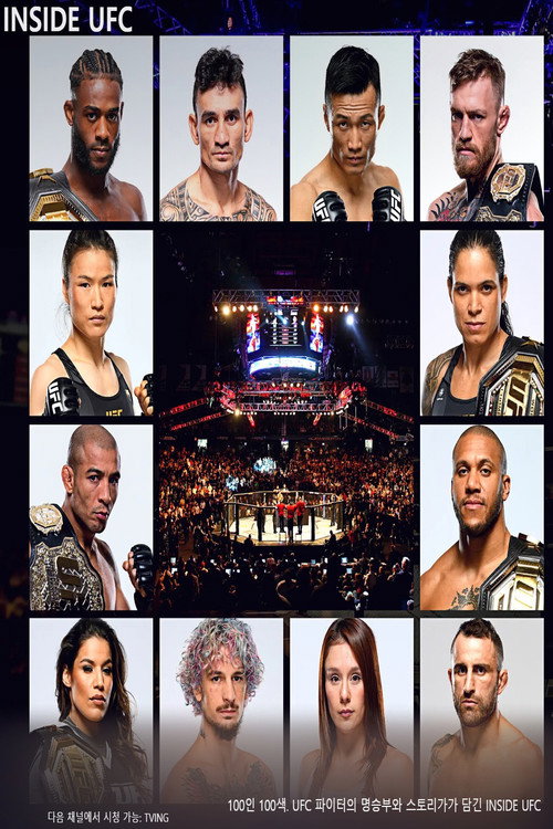 인사이드 UFC poster