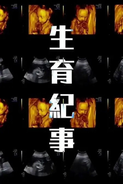 生育纪事 poster