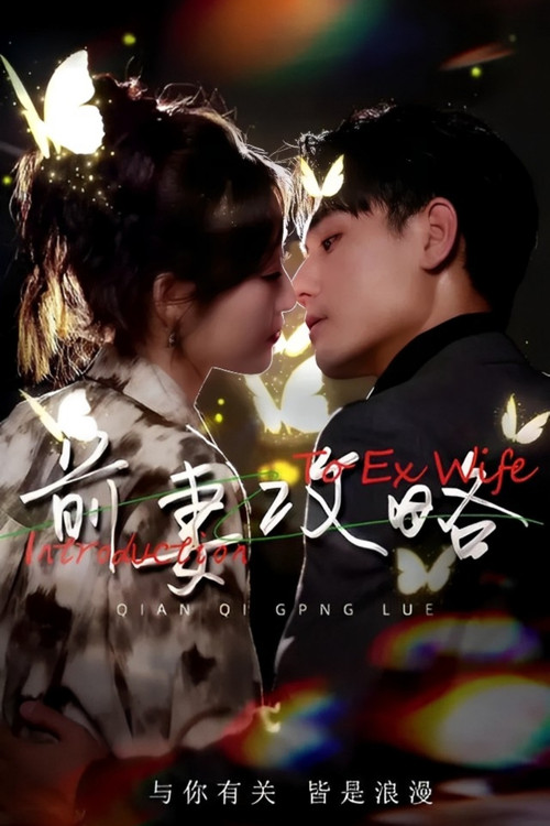 Introduction to Ex-Wife poster