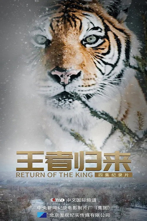 王者归来 poster