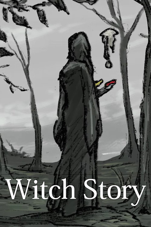 Witch Story poster