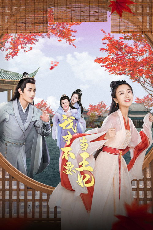 I Don't Want to Be The Princess poster
