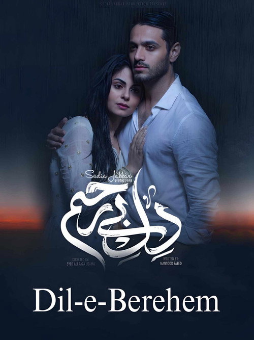 Dil-e-Bereham poster