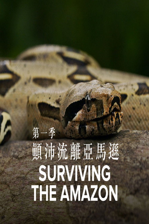 Surviving the Amazon poster