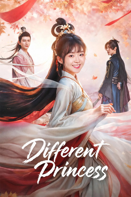 Different Princess poster