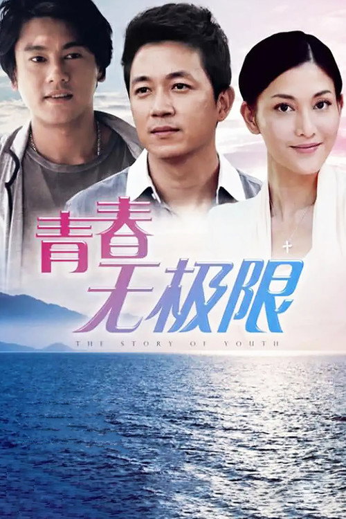 Youth Without Limits poster