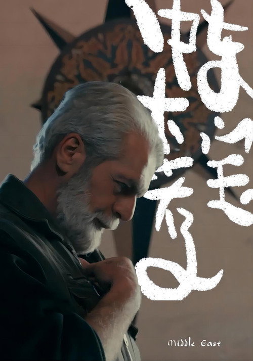 中东大宝荐 poster