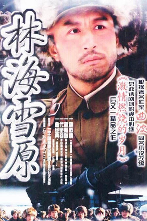 林海雪原 poster