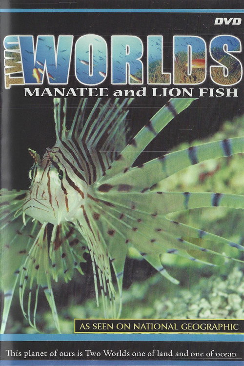 Two Worlds poster