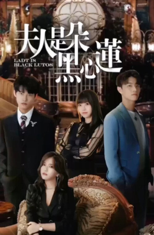 夫人是朵黑心莲 poster