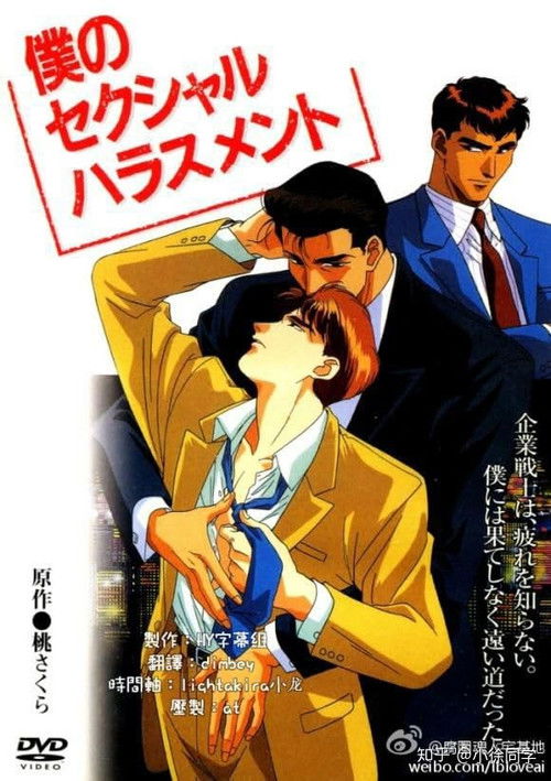 My Sexual Harassment poster