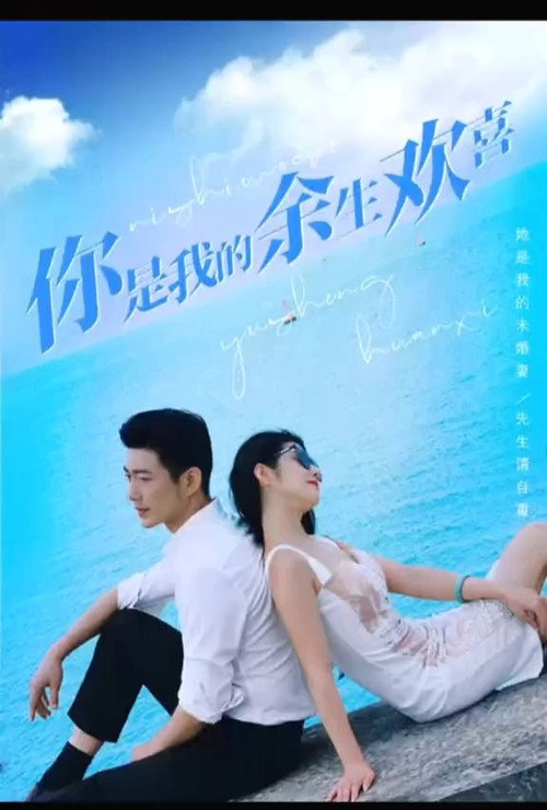 你是我的余生欢喜 poster