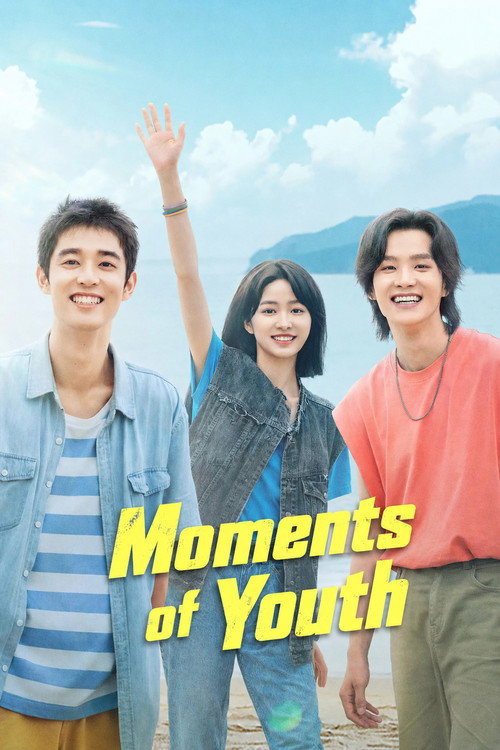 Moments of Youth poster