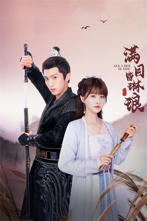 满目皆琳琅 poster