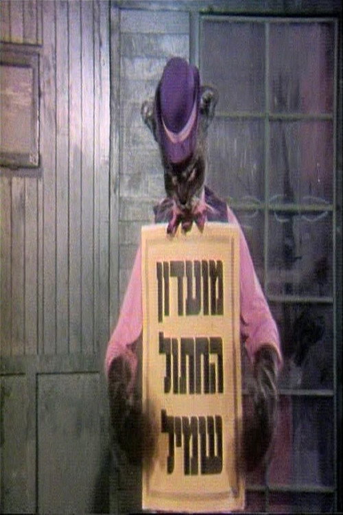 מועדון החתול שמיל poster