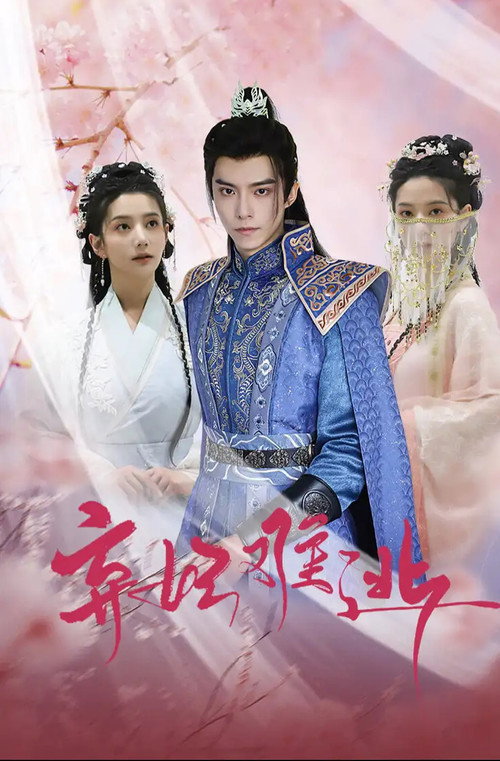 弃妃难逃 poster