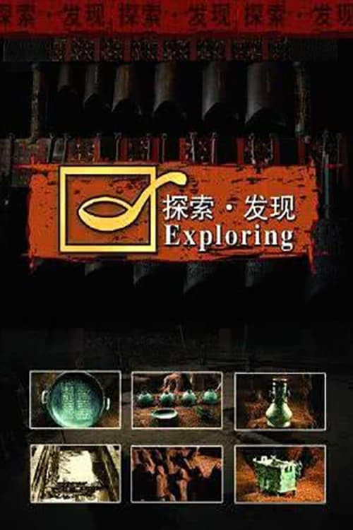 探索发现:2019考古进行时 poster