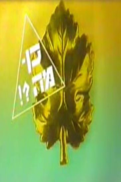 כן מה?! poster