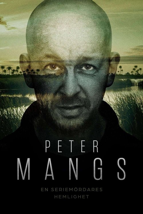 Under the Radar: Secrets of a Swedish Serial Killer poster