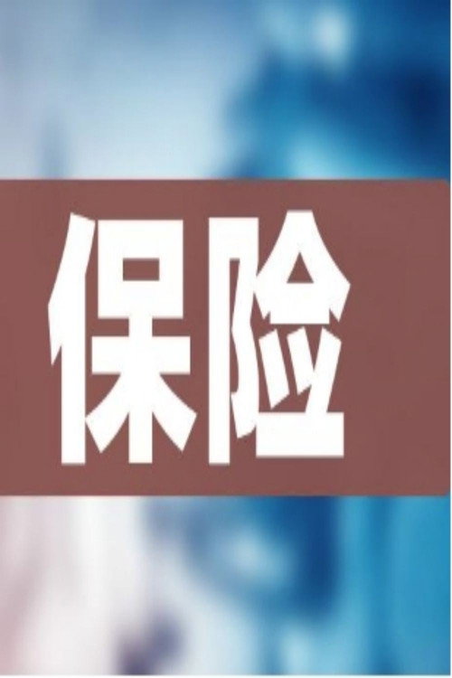 12节课教你规划家庭保险 poster
