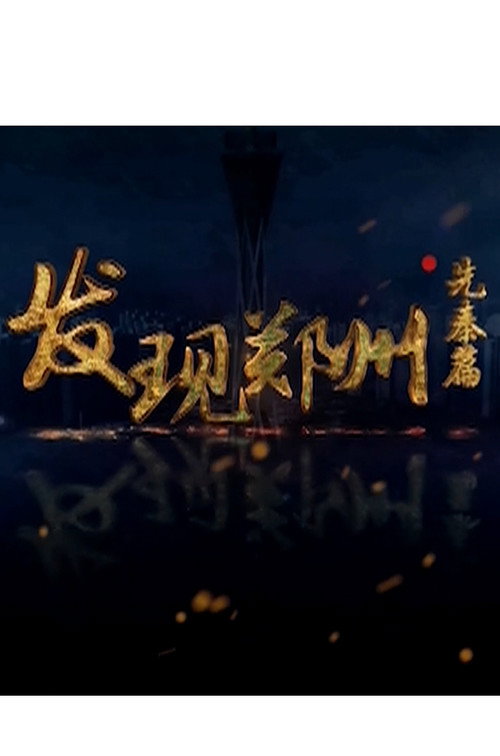 发现郑州 poster