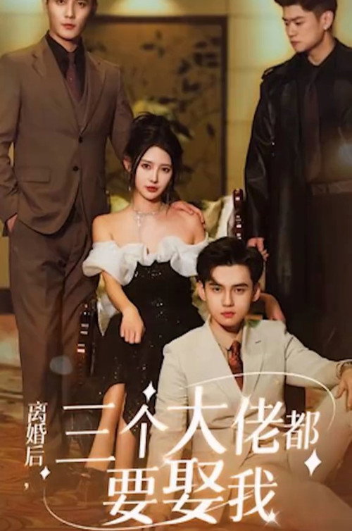 离婚后三个大佬都要娶我 poster