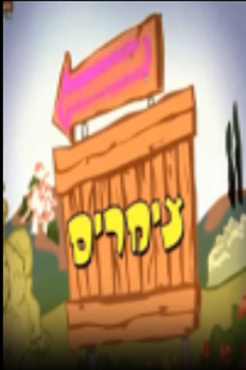 צימרים poster