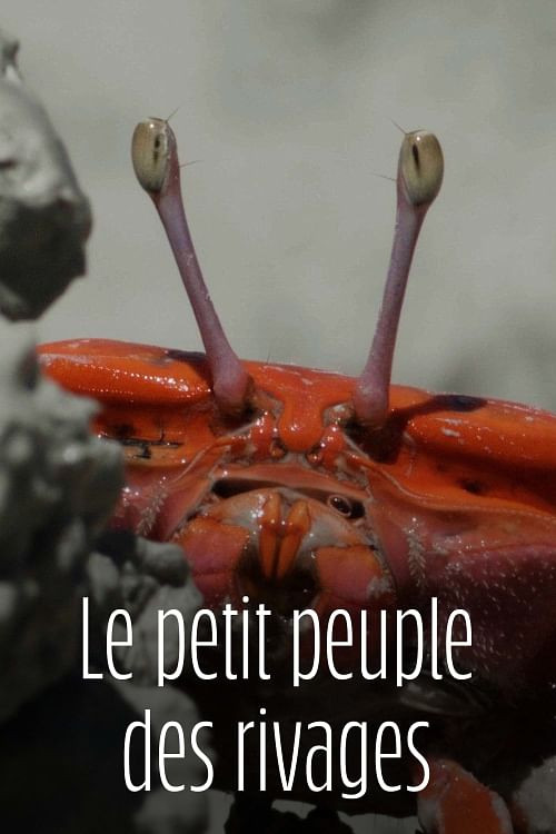 Le Petit Peuple des rivages poster