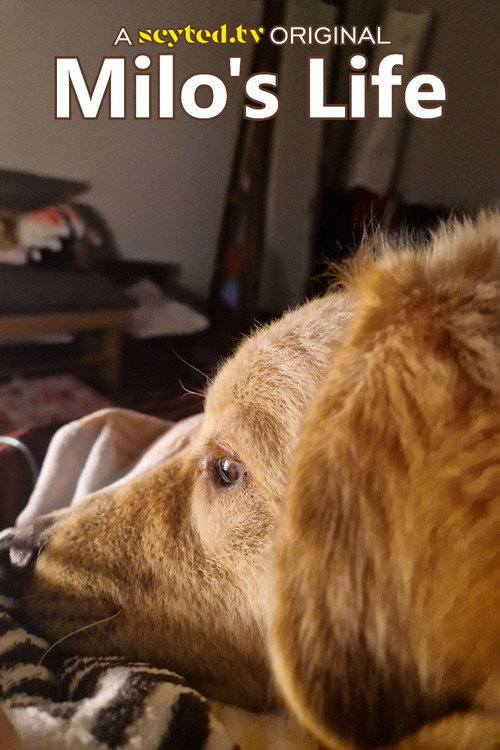 Milo's Life poster