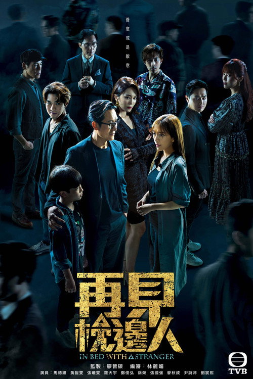 In Bed With A Stranger poster