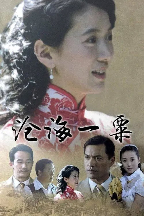 沧海一粟 poster