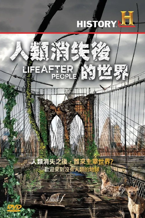 人类消失后的世界 poster