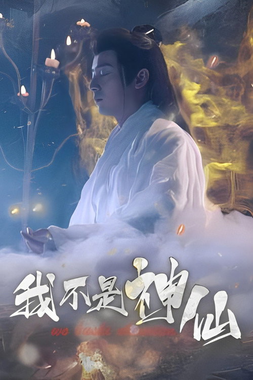 我不是神仙 poster