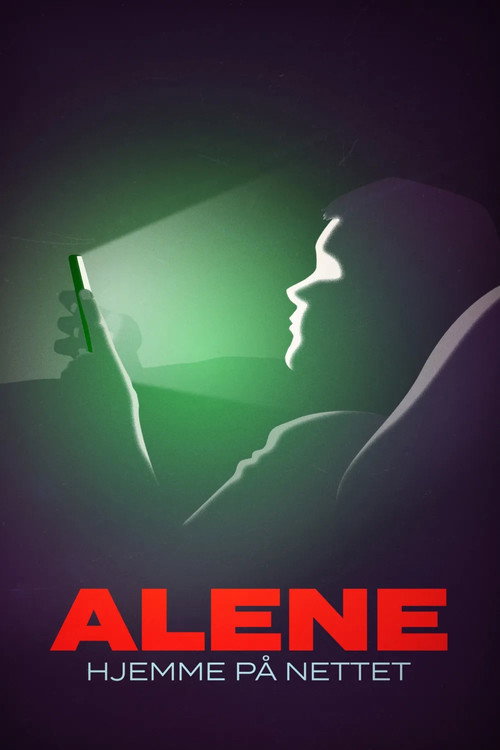 Alene hjemme på nettet poster