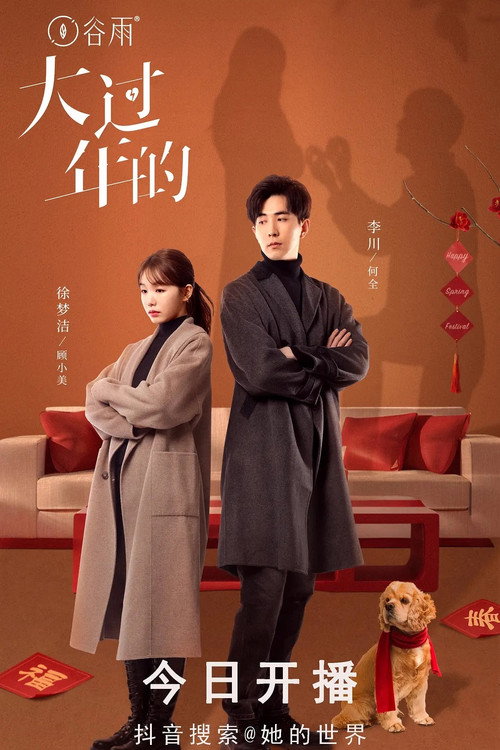 大过年的 poster