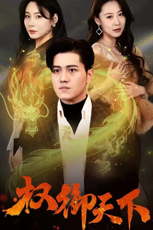 权御天下 poster
