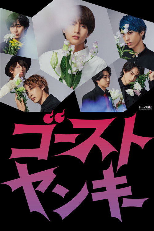 Ghost Yankee poster