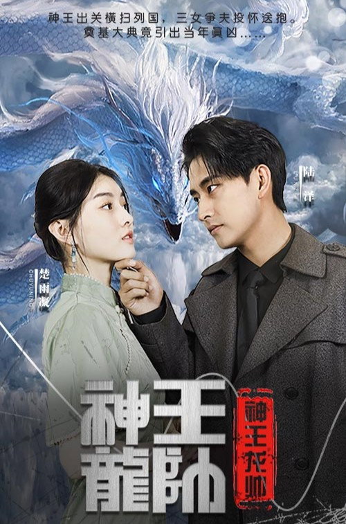 神王龙帅 poster